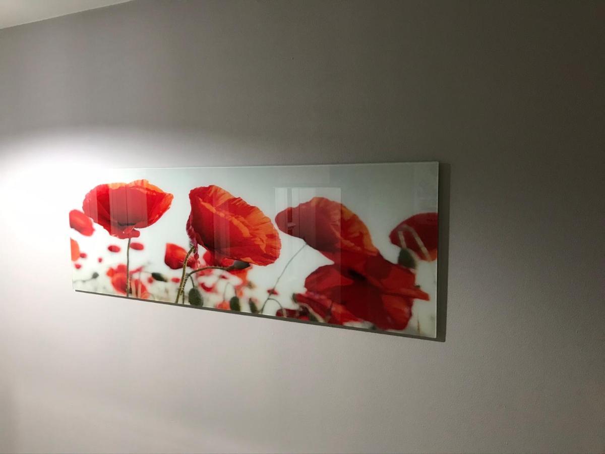 Flanders Fields Apartment Dingwall Exterior foto